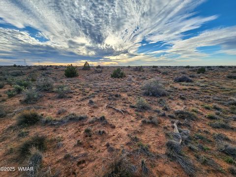 Tiny photo for 8694 Kasias Trail, Snowflake, AZ 85937 (MLS # 258709)