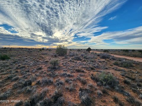 Tiny photo for 8694 Kasias Trail, Snowflake, AZ 85937 (MLS # 258709)