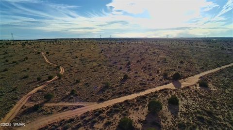 Tiny photo for 8694 Kasias Trail, Snowflake, AZ 85937 (MLS # 258709)