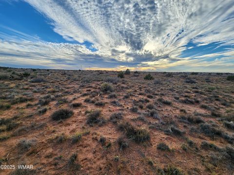 Tiny photo for 8694 Kasias Trail, Snowflake, AZ 85937 (MLS # 258709)