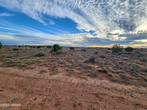 Photo of 8694 Kasias Trail, Snowflake, AZ 85937 (MLS # 258709)