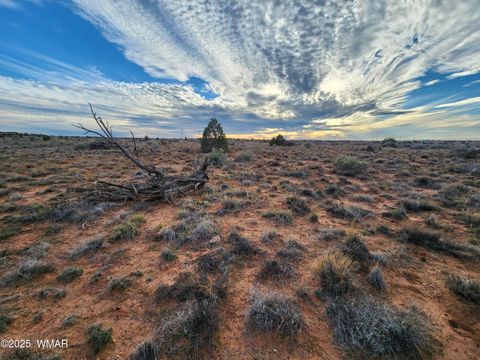 Tiny photo for 8694 Kasias Trail, Snowflake, AZ 85937 (MLS # 258709)