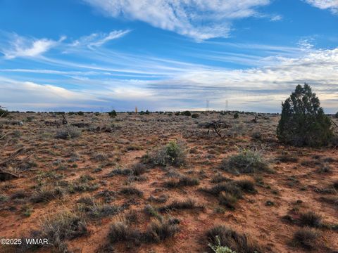 Tiny photo for 8694 Kasias Trail, Snowflake, AZ 85937 (MLS # 258709)