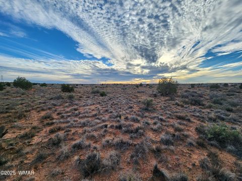 Tiny photo for 8694 Kasias Trail, Snowflake, AZ 85937 (MLS # 258709)