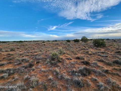 Tiny photo for 8694 Kasias Trail, Snowflake, AZ 85937 (MLS # 258709)