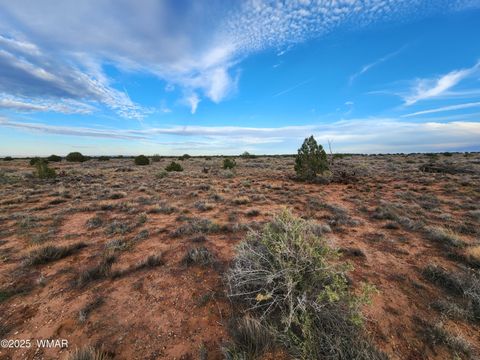 Tiny photo for 8694 Kasias Trail, Snowflake, AZ 85937 (MLS # 258709)