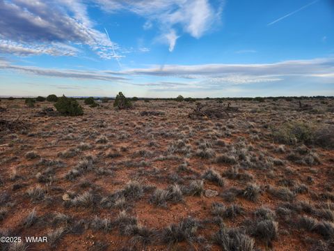 Tiny photo for 8694 Kasias Trail, Snowflake, AZ 85937 (MLS # 258709)