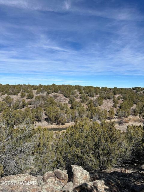 Tiny photo for 1780 Shad Place, Show Low, AZ 85901 (MLS # 259724)