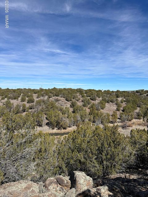 Photo of 1780 Shad Place, Show Low, AZ 85901 (MLS # 259724)