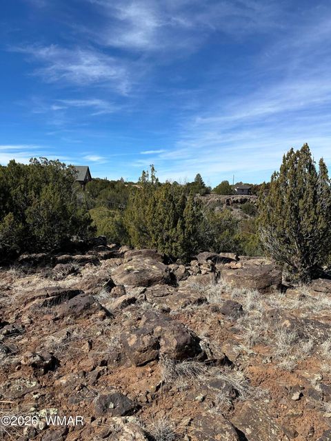 Tiny photo for 1780 Shad Place, Show Low, AZ 85901 (MLS # 259724)