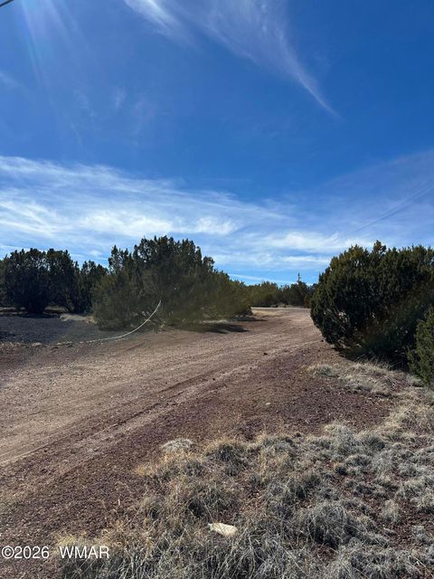 Tiny photo for 1780 Shad Place, Show Low, AZ 85901 (MLS # 259724)