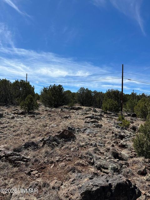 Tiny photo for 1780 Shad Place, Show Low, AZ 85901 (MLS # 259724)