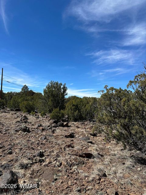 Tiny photo for 1780 Shad Place, Show Low, AZ 85901 (MLS # 259724)