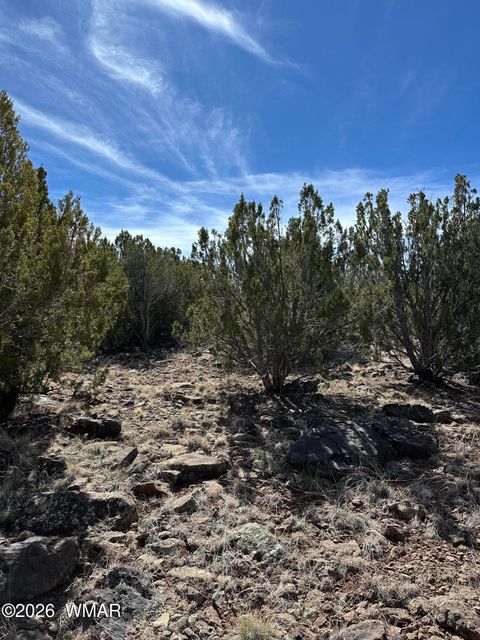 Tiny photo for 1780 Shad Place, Show Low, AZ 85901 (MLS # 259724)
