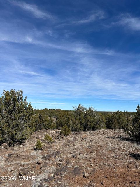 Tiny photo for 1780 Shad Place, Show Low, AZ 85901 (MLS # 259724)