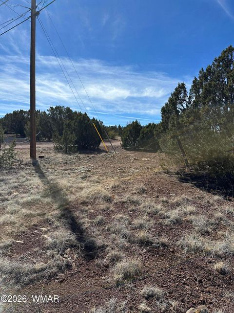 Tiny photo for 1780 Shad Place, Show Low, AZ 85901 (MLS # 259724)