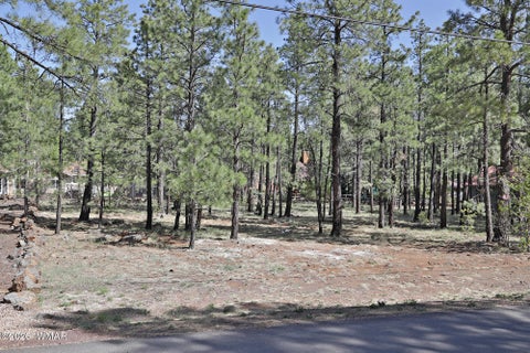 Photo of 7466 Buck Springs Road, Pinetop, AZ 85935 (MLS # 259938)