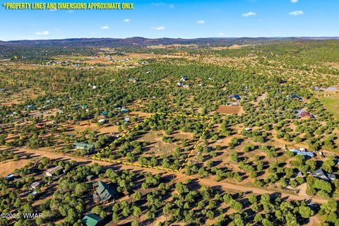 Tiny photo for 1170 Sapphire Lane, Show Low, AZ 85901 (MLS # 258649)