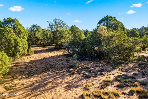 Tiny photo for 1170 Sapphire Lane, Show Low, AZ 85901 (MLS # 258649)
