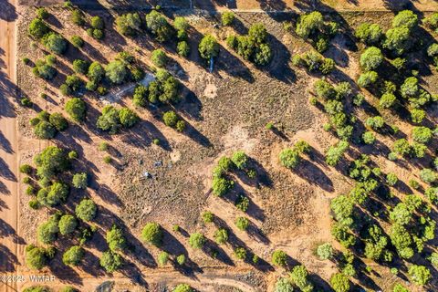 Tiny photo for 1170 Sapphire Lane, Show Low, AZ 85901 (MLS # 258649)