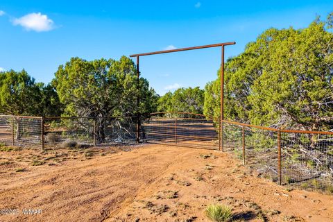 Photo of 1170 Sapphire Lane, Show Low, AZ 85901 (MLS # 258649)