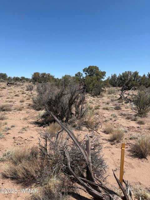 Tiny photo for 8580 Lawson Lane, Snowflake, AZ 85937 (MLS # 257060)