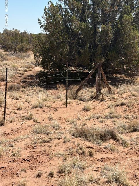 Tiny photo for 8580 Lawson Lane, Snowflake, AZ 85937 (MLS # 257060)