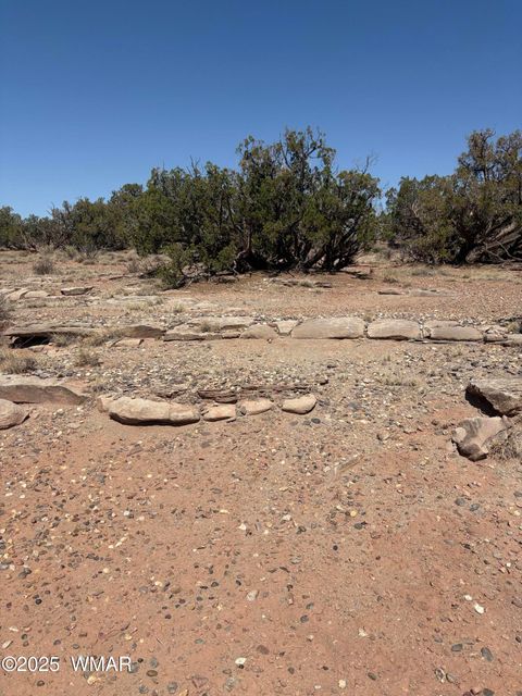 Tiny photo for 8580 Lawson Lane, Snowflake, AZ 85937 (MLS # 257060)