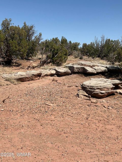 Photo of 8580 Lawson Lane, Snowflake, AZ 85937 (MLS # 257060)