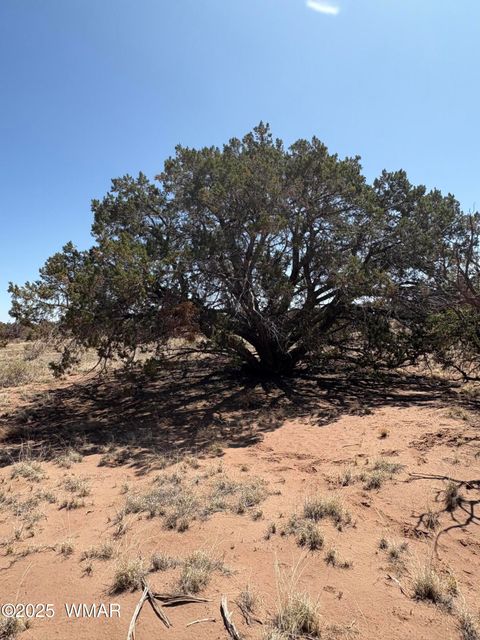Tiny photo for 8580 Lawson Lane, Snowflake, AZ 85937 (MLS # 257060)