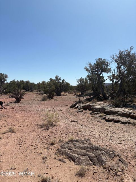 Tiny photo for 8580 Lawson Lane, Snowflake, AZ 85937 (MLS # 257060)