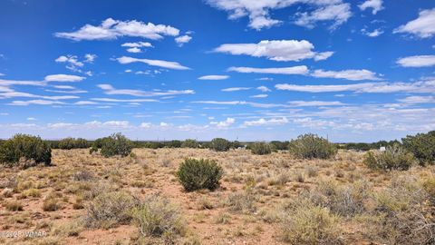 Tiny photo for 9658 E Concho Highway, Snowflake, AZ 85937 (MLS # 256414)
