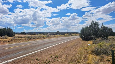 Photo of 9658 E Concho Highway, Snowflake, AZ 85937 (MLS # 256414)