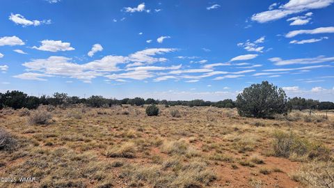 Tiny photo for 9658 E Concho Highway, Snowflake, AZ 85937 (MLS # 256414)