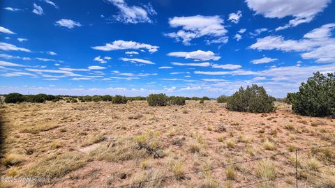 Tiny photo for 9658 E Concho Highway, Snowflake, AZ 85937 (MLS # 256414)