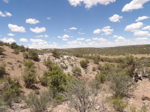 Tiny photo for 0 Bella Vista, Show Low, AZ 85901 (MLS # 256496)