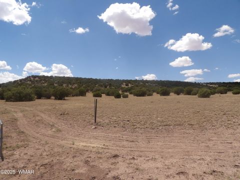 Tiny photo for 0 Bella Vista, Show Low, AZ 85901 (MLS # 256496)