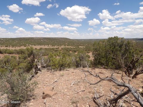 Tiny photo for 0 Bella Vista, Show Low, AZ 85901 (MLS # 256496)