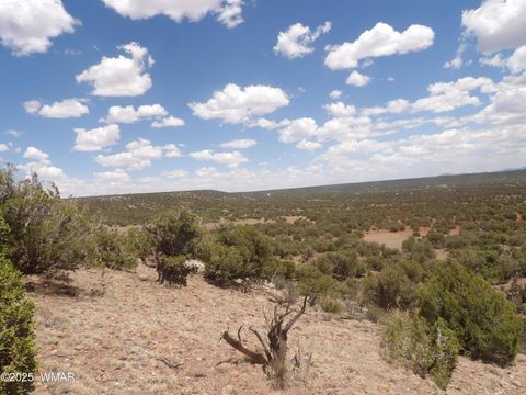 Tiny photo for 0 Bella Vista, Show Low, AZ 85901 (MLS # 256496)