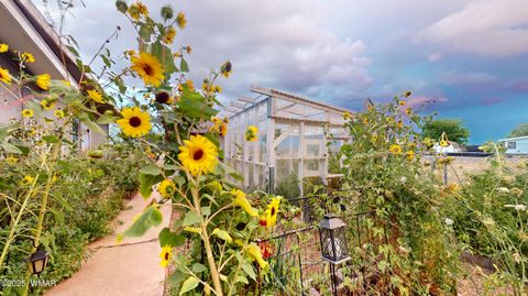 Tiny photo for 1110 W Ranch Road, Taylor, AZ 85939 (MLS # 257792)