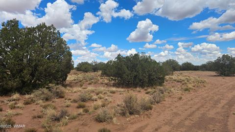 Tiny photo for 4365 Mountain View Road, Snowflake, AZ 85937 (MLS # 257914)