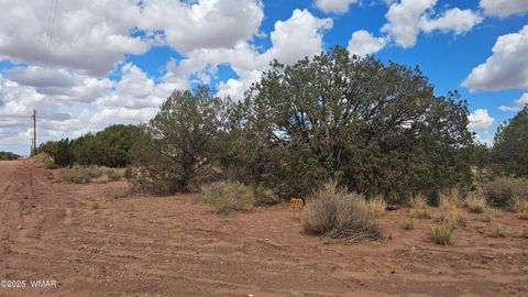 Tiny photo for 4365 Mountain View Road, Snowflake, AZ 85937 (MLS # 257914)