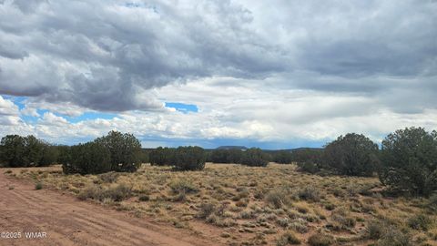Photo of 4365 Mountain View Road, Snowflake, AZ 85937 (MLS # 257914)