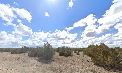 Tiny photo for 8649 Coronado DR, Show Low, AZ 85901 (MLS # 262964)