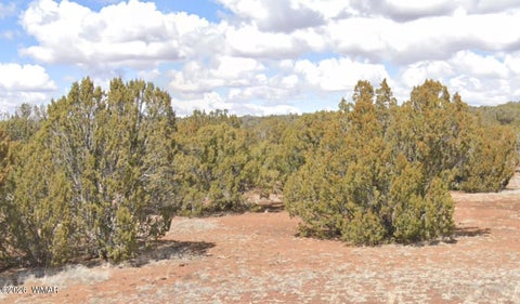 Tiny photo for 8649 Coronado DR, Show Low, AZ 85901 (MLS # 262964)