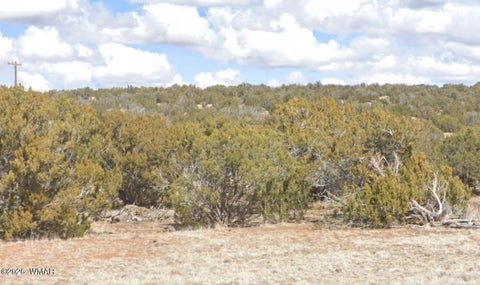 Tiny photo for 8649 Coronado DR, Show Low, AZ 85901 (MLS # 262964)