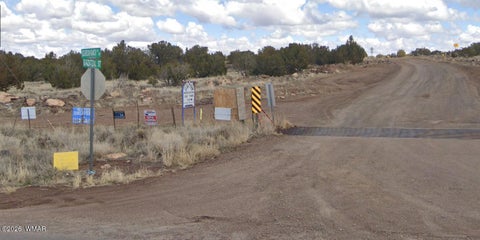 Tiny photo for 8649 Coronado DR, Show Low, AZ 85901 (MLS # 262964)