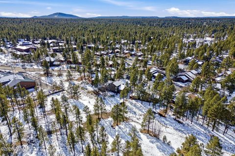 Tiny photo for 2827 Oak Circle, Pinetop, AZ 85935 (MLS # 259179)