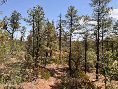Tiny photo for 7384 Carina Lane, Lakeside, AZ 85929 (MLS # 262340)
