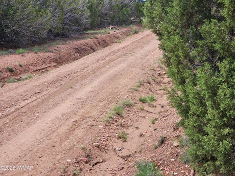 Tiny photo for TBD Birdwing Lane, Clay Springs, AZ 85923 (MLS # 262492)